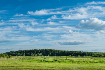 Fototapeta na wymiar Pictorial rural nature background with green grazing and deep blue cloudy sky