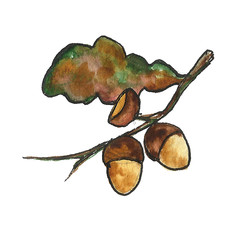 Hand drawn floral botanical watercolor illustration of a single set frame leaf branch isolated. Autumn, fall, leaf fall. Tanksgiving day, harvest.