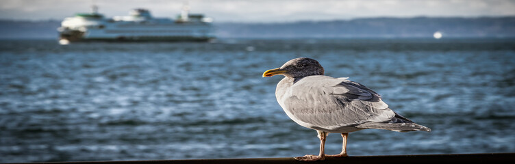 Puget Sound