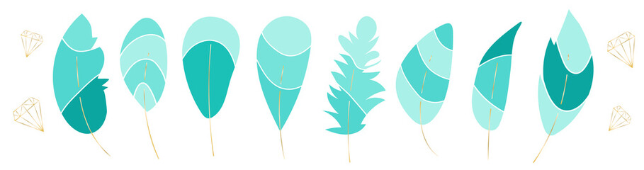 Vector collection,set of beautiful feathers. Soft colors. Turquoise,blue,green,beige shades elements. 