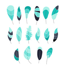 Vector collection,set of beautiful feathers. Soft colors. Turquoise,blue,green,beige shades elements. 