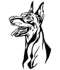Decorative portrait of Dobermann vector illustration