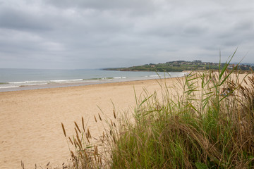 Fototapeta na wymiar Deserted beach landscape with greenery in the foreground, a cloudy summer afternoon in Cantabria, Spain, Europe
