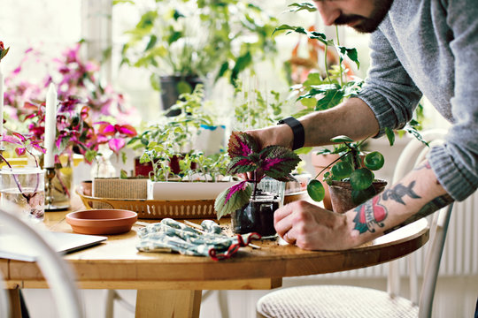 Midsection of man potting seedling in jar at table in room