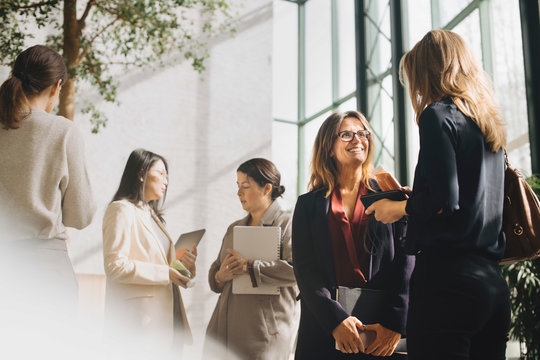 Multi-ethnic female professionals talking at conference event