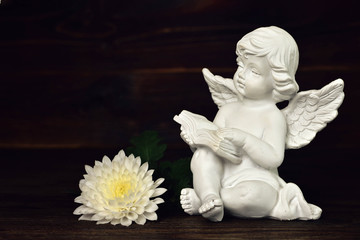 Guardian angel reading a book