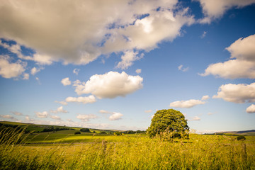 Fototapeta na wymiar Rural landscape in Yorkshire Dales, England, UK