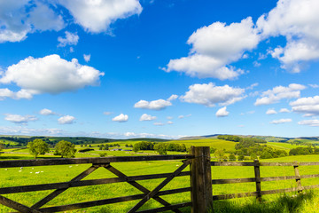 Fototapeta na wymiar Rural landscape with wooden fence in Yorkshire Dales, England, UK