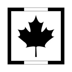 maple leaf canada in frame square