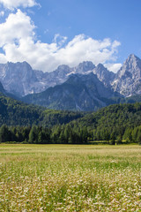 gorgeous view of moutain Spik in Julian Apls