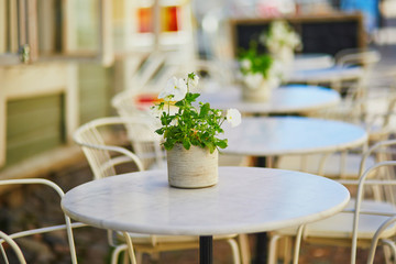 Fototapeta na wymiar Flowers in full bloom on a table of street cafe