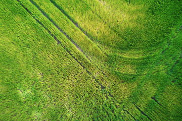 Fototapeta premium Scenic top down view of meadow in Finnish countryside