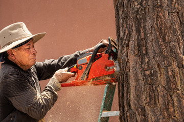 Cutting Slab