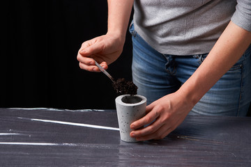 Beautiful woman planting succulent in concrete pot. Ecology concept