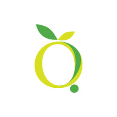 letter Q with leaf logo design vector