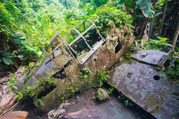 Fototapeta na wymiar Zero fighter in Peleliu Island in Palau. War ruins, the battle was fought between the U.S. and Japan during World War II.