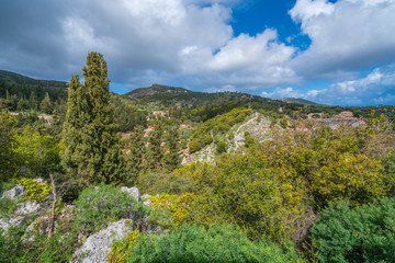 Fototapeta na wymiar Green countryside in the Askos region of Zante