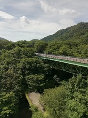 Fototapeta na wymiar 山の中の橋