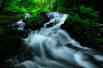 岩手県　夏の渓流