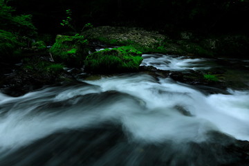 岩手県　夏の渓流