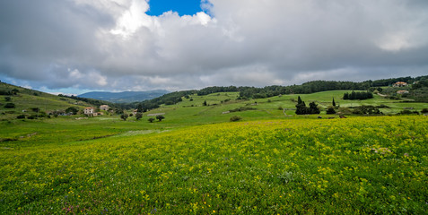 Green countryside of the interior of Zante