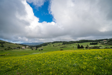 Green countryside of the interior of Zante