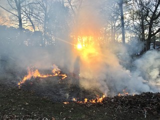 Fototapeta na wymiar fire in forest