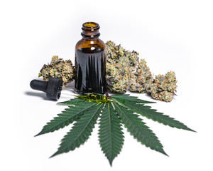 Medical Cannabis with CBD Oil Leaves and Marijuana Buds White Isolated
