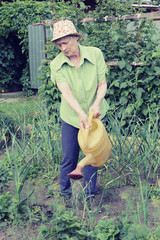 Portrait of elderly woman in a hat with a watering can is watering the beds in her garden.