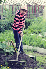 Portrait of elderly woman with a rake works on bed in her garden.