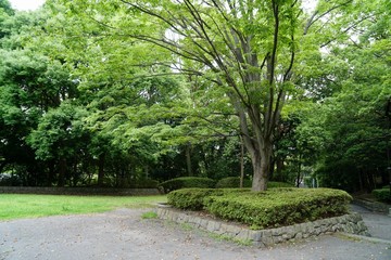 公園