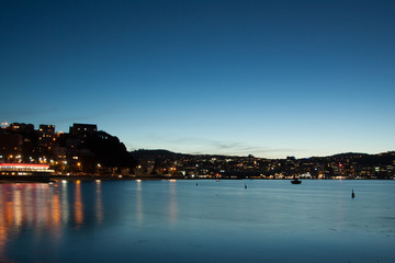Fototapeta premium Wellington the capital city of New Zealand at night