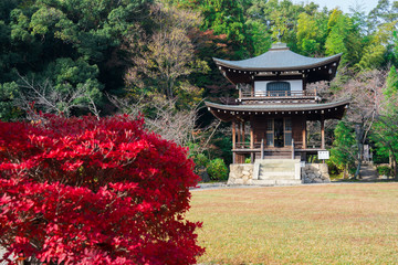 京都　秋の勧修寺