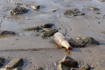 A forlorn brown bottle washed up on the shore