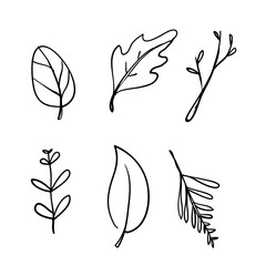 Floral Decoration Line Icon decoration doodle hand drawn style vector