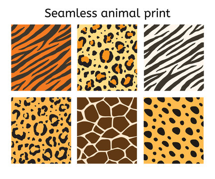 Vector set of seamless pattern of different animal skin fur print isolated on white background