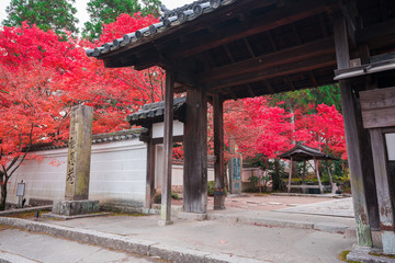 京都　一休寺の総門と紅葉　