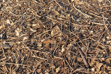 Wood chips and small pieces of dried wood, lying on the ground