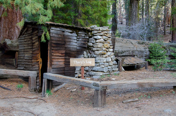 Fototapeta na wymiar Tharp's Log, Sequoia National Park, California, USA