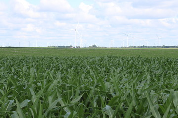 Midwest Farming Illinois 2019