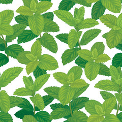 Fototapeta na wymiar Seamless pattern of green mint leaves on background template. Vector set of herbal element for advertising, packaging design, greeting card and fashion design.