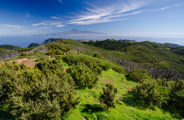 Fototapeta premium View from Garajonay towards Tenerife, Garajonay National Park, La Gomera, Spain