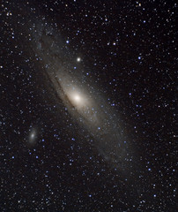 Andromeda