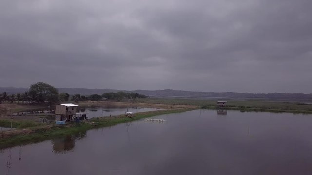 Humedal la Segua Chone Ecuador santuario de aves 