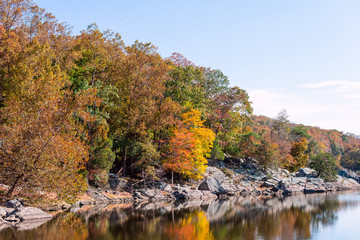 Great Falls yellow orange autumn tree reflection view in canal lake river surface during autumn in Maryland colorful leaves foliage
