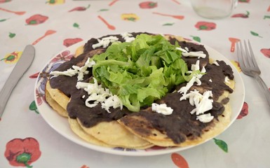 Plato de enfrijoladas con queso y lechuga en primer plano.