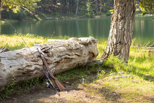 fishing pole and gun resting on log by lake 