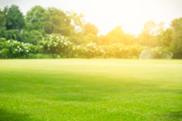 Fototapeta na wymiar Blurred green lawn and sunlight