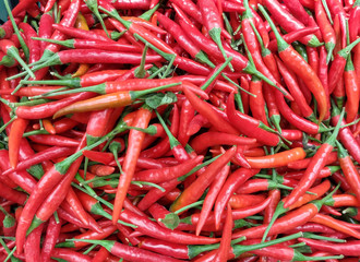 Red chilli on the background