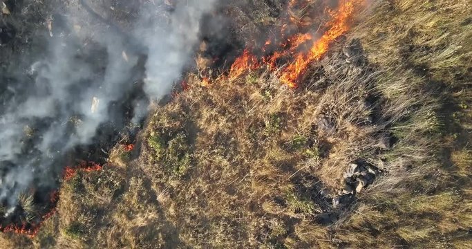 Fire in Golan Heights Aerial view Flying over fire at in Golan Heights, Israel